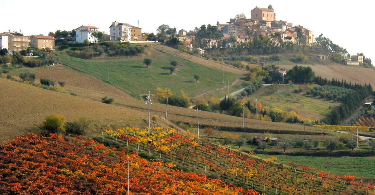 Bed and Breakfast Gli Orti Di San Giacomo Monteprandone Exterior foto